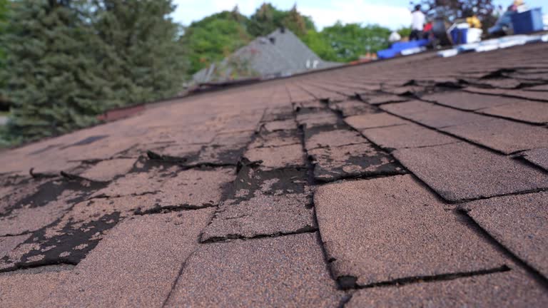 Best Rubber Roofing (EPDM, TPO)  in Twinsburg, OH